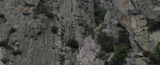 Découverte du massif du Caroux (Hérault)