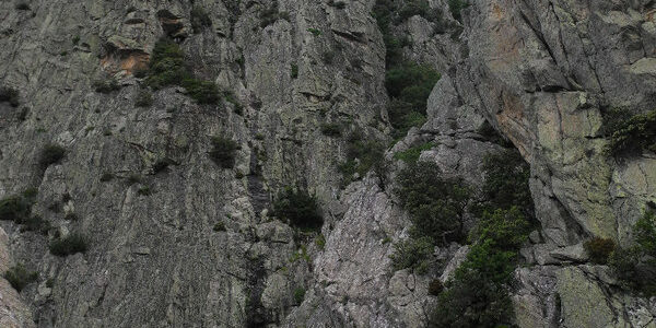 1372065997_692414752BI