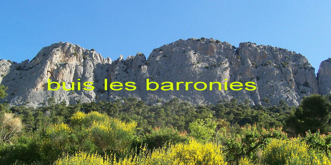 01 buis ag